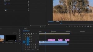 Premiere Pro カット編集を素早く行う方法 Freesoftconcierge
